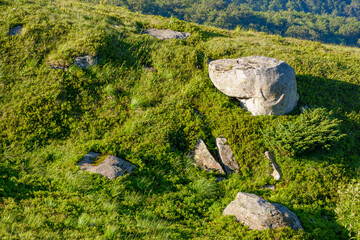 Wall Mural - pile of rock boulder on the grassy slope. limestone boulders in morning light