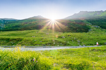 Wall Mural - mountain landscape at sunrise in summer. outdoor adventure in bright weather. scenery with green val