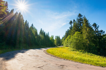 Wall Mural - pass through green coniferous forest. sun on the blue sky. old road in carpathian mountains. volovet