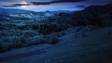 Wall Mural - vast rural landscape in mountain at night. rolling hills with forest and pasture in full moon light.
