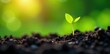 © Baillm - Tiny green sprouts emerge from dark soil, reaching for sunlight , close-up, sprout, texture