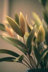 Aufkleber - Close-Up of Calathea Plant With Striped Leaves, Evoking Natural Beauty and Sustainable Living in Interior Design : Generative AI