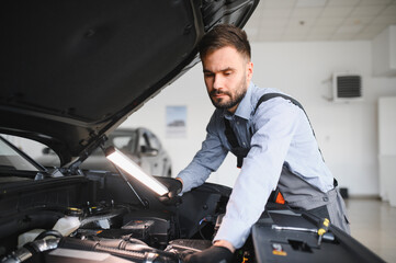 Aufkleber - Troubleshooting process. Auto mechanic working in garage. Repair service