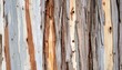 © Won Studio - Shredding Eucalyptus Bark Texture Detail