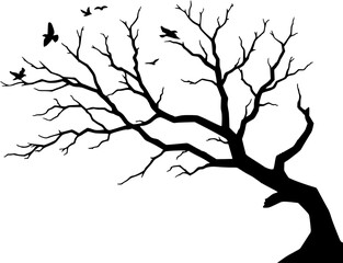 silhouette of a leafless tree with birds in flight