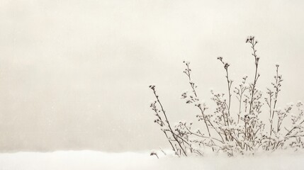 Poster - Multiple plants covered in snow in a serene winter field