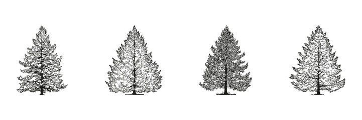 Wall Mural - evergreen tree silhouette set. landscape architecture and environmental design collection. isolated 