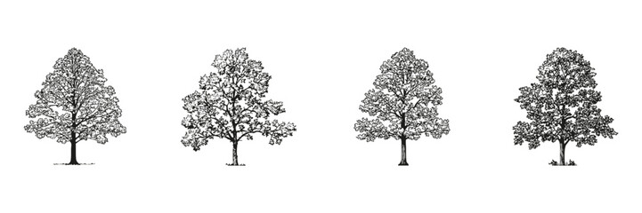 Wall Mural - trees silhouette sketch set. landscape architecture and environmental planning collection. isolated 