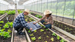 © NewSaetiew - Farmers planning to install solar panels on their farm to power greenhouses for crop production, renewable energy and agriculture concept.