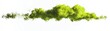 © BrilliantPixels - Vivid green textured organic cloud-like form with granular surface and gradient thinning edges on a pure white background, ideal for nature, environmental, abstract design and graphic