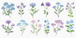 © Rawpixel.com - Colorful botanical floral illustrations, vector set