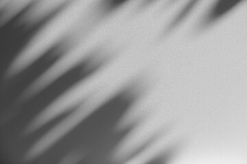 Poster - Wall interior background, studio and backdrops show products.with shadow from window color white and grey. background for text insertion and presentation product	
