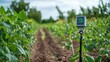 © wpw - smart soil sensors detecting nutrient levels, guiding fertilizer application with pinpoint accuracy, helping farmers reduce waste and costs.