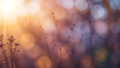 Wall Mural - natural background with soft warm colors and bright sunlight bokeh effect