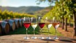 © Maryna - Wine tasting experience in Napa Valley. Various red and white wine glasses against vineyard background. Rustic wooden table with barrels, scenic outdoor. Enjoy elegant drink, beverage during vacation.