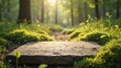© yiam - Clean flat stone or wooden surfaces surrounded by moss in a sunlit forest setting.