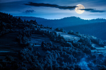 Wall Mural - mountainous rural landscape in summer at night. field and forest on the hill in full moon light. alp