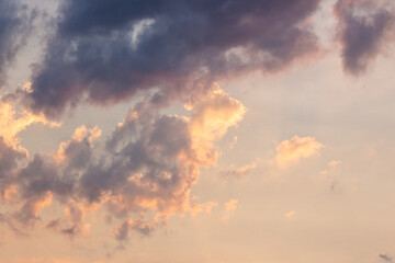 Wall Mural - cumulus clouds on the sky blown by the wind. warm scenery. cloudy weather meteorology background in 