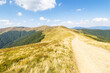 © Pellinni - dirt road in carpathian mountains. krasna ridge in summer