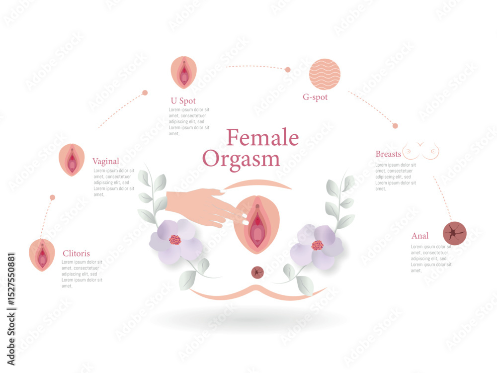 Female orgasm explained with diagram showing erogenous zones Stock