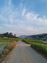 Canvas Print - This is a rural landscape in spring.