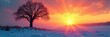 © Latsamee - A barren winter tree stands silhouetted against a vibrant sunrise, hinting at the promise of spring's arrival The first signs of thawing are visible in the softening earth , yellow, growth, change