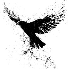 Splattered Crow Raven Black Bird Art Free Stock Photo - Public Domain Pictures