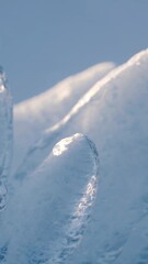 Wall Mural - Intricate ice formations sparkling under bright sunlight, revealing delicate crystal structures against pristine blue sky background in serene winter landscape