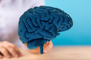 Aufkleber - High-quality image of a 3D human brain model. Ideal for neurology, healthcare, and medical concepts.