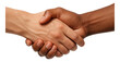 © OMD - Two individuals of different skin tones are engaged in a firm handshake on transparent background.