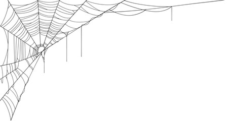 Wall Mural - spider web line art vector eps