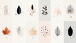 © Hey Creative - Art floral elements in a vector set: Hand-drawn with a single continuous line, these leaves, branches, and plants are ideal for t-shirt prints, logos, and beauty-related designs