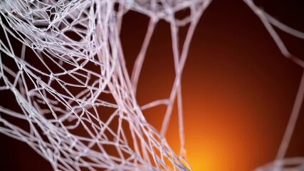 Intricate white spiderweb structure stretching in abstract layers over glowing orange background, evoking fragility, connectivity, and delicate organic design in macro view