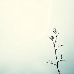 minimalist tree branch silhouette against a light background nature photography stock image for desi