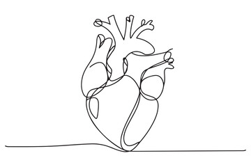 Continuous line heart drawing simple hand drawn art
