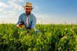 © DusanJelicic - Happy farmer using mobile phone in cultivated pea field examining crops, implementing modern technology in agriculture for better efficiency and sustainable farming practices