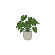 © Muqaddas - Elegant potted plant design ideal for home decor projects, logos, branding, and stylish interior illustrations featuring lush foliage and a minimalist aesthetic.