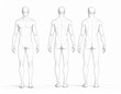 © Pitchaphorn - Male Anatomy Sketch Front Back and Side Views for Artists Reference