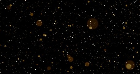 Wall Mural - Particles slowly falling down. Abstract animation.
