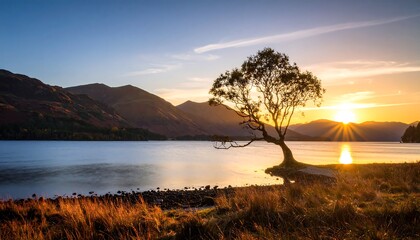 Poster - Tree by lake at sunset with mountains.