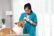 © Pang - A female veterinarian examines a golden retriever indoors, providing medical care and comfort in a hospital setting focused on pet health.