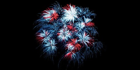 Wall Mural - Fireworks display in red, white, and blue against a black background