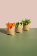 © Cavan Images - Raw vegetables snack in cardboard scoop tray healthy fast food concept