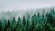 © tao - The dense pine forest is shrouded in mist and the greenery stands out against a soft white background, perfect for expressing tranquility or mystery, perfect as a backdrop for a nature theme.