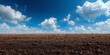 © Oleksandr - Tilled field under a bright blue sky with fluffy white clouds. The rich, dark soil contrasts with the clear sky, suggesting preparation for planting.