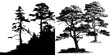 © aiVECTOR - A modern set of black and white silhouettes featuring long elegant branches of pine trees and conifers