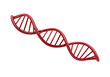 © practice  - Red dna double helix structure isolated on transparent background, PNG