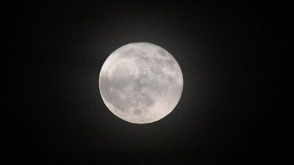 Wall Mural - Full moon on black background. Moon in the night sky. Strawberry Full Moon