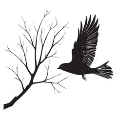 silhouette of a bird in flight near a bare branch