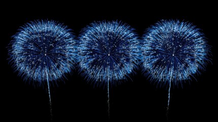 Aufkleber - Three blue fireworks bursts against a black background.